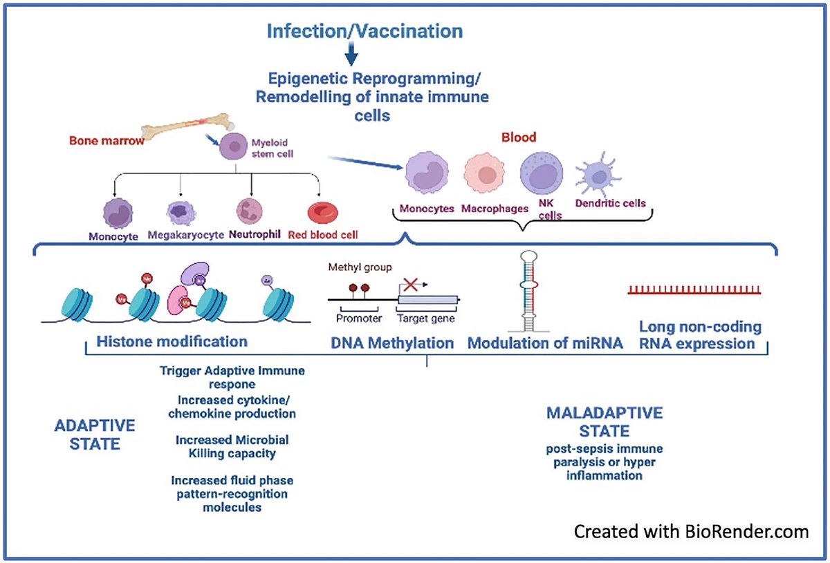 Waggoner Lab tweet media