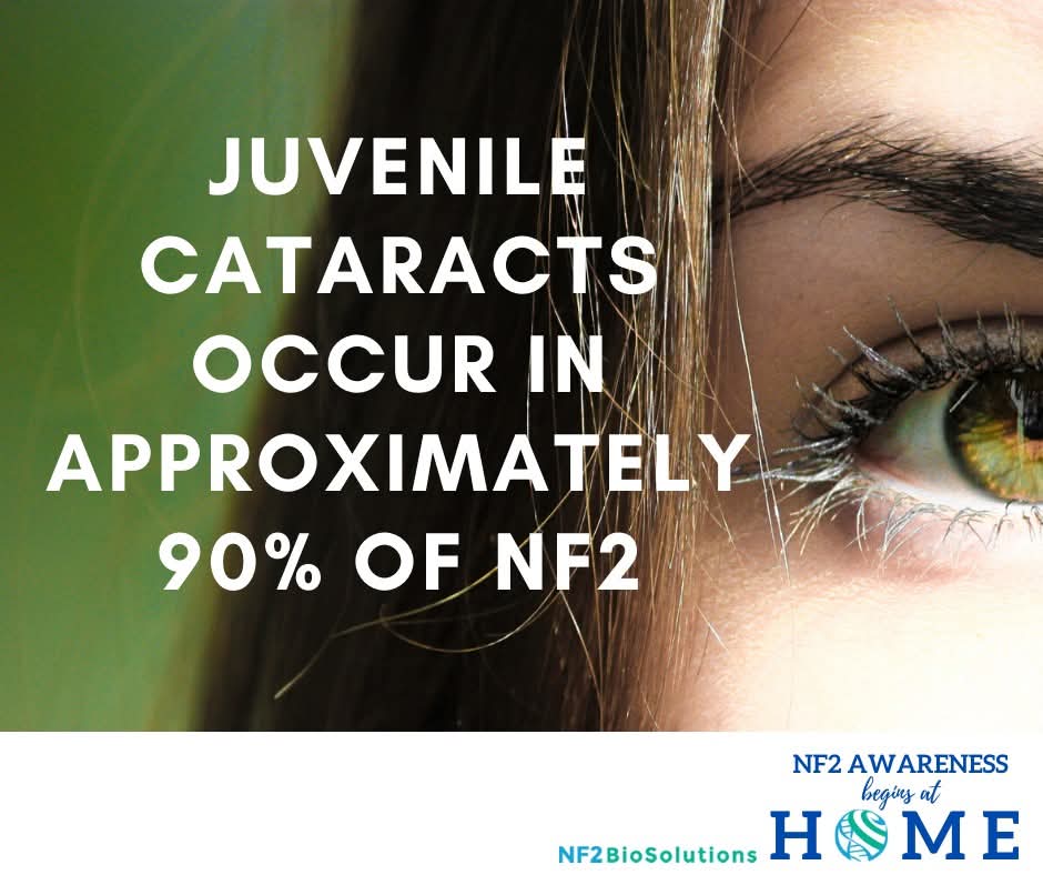 nf2biosolution1's tweet image. Midweek knowledge!!
Did you know it was that many? Eye problems really are very common in NF2 and yet are probably one of the most overlooked areas both pre and post treatment (no pun intended!) .
Look after your eyes! They are the windows to your soul!
#endNF2 #NF2awareness