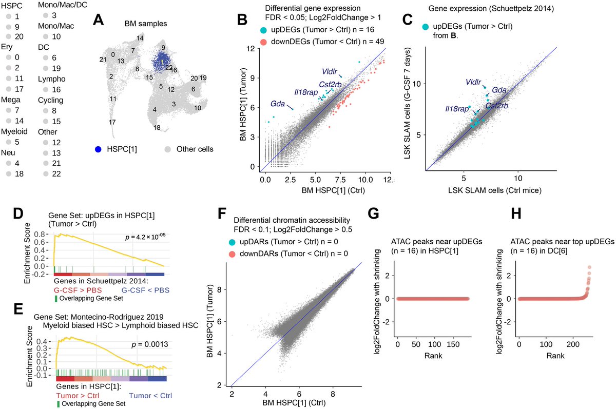 J_Immunol's tweet image. Researchers characterized the transcriptional and chromatin accessibility landscapes of bone marrow and splenic hematopoietic progenitors in breast cancer to understand the hematopoietic consequences of cancer. Read more: ow.ly/gfEZ50WlLzk.