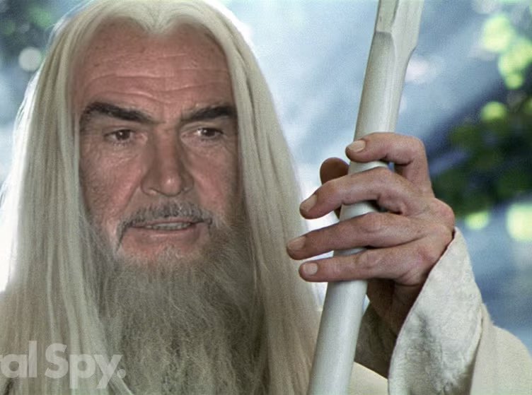 Andrewnsnyder's tweet image. In another timeline, there is a Nic Cage Aragorn and Sean Connery Gandalf.