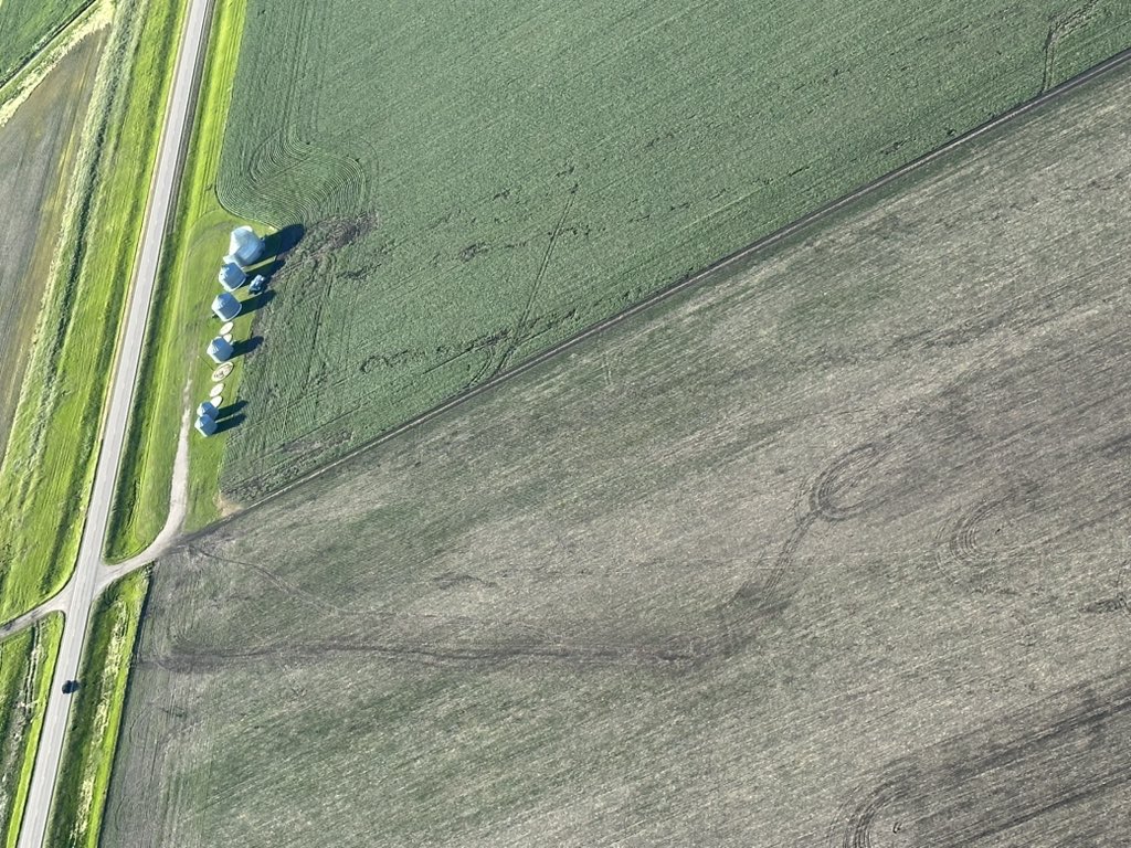 Levi Johnson tweet media