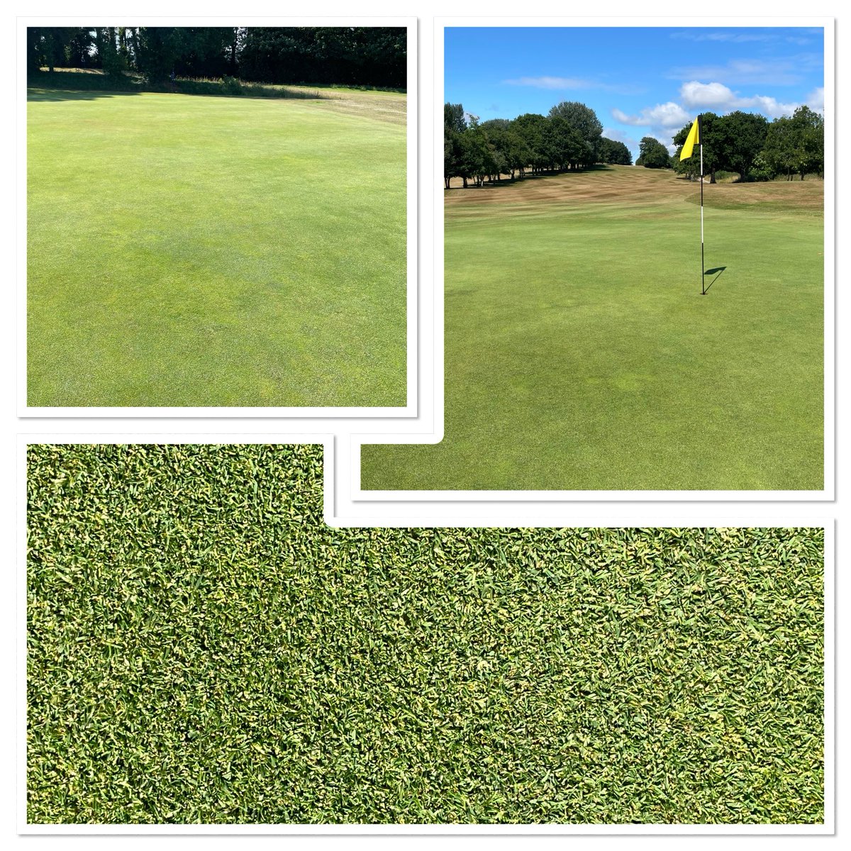 AvoncropNeil's tweet photo. Stress ! What Stress ! Award TurfXtra Accelerate , Award TurfXtra RhizoBoost &amp; Aquaritin 19 Allowing this CM to sleep at night , do you want to sleep at night ? Just ask and take the stress away !⁦@Aquaritin_Turf⁩ ⁦⁦@avoncropamenity⁩ #pencenotpounds https://t.co/Xfletmil4b
