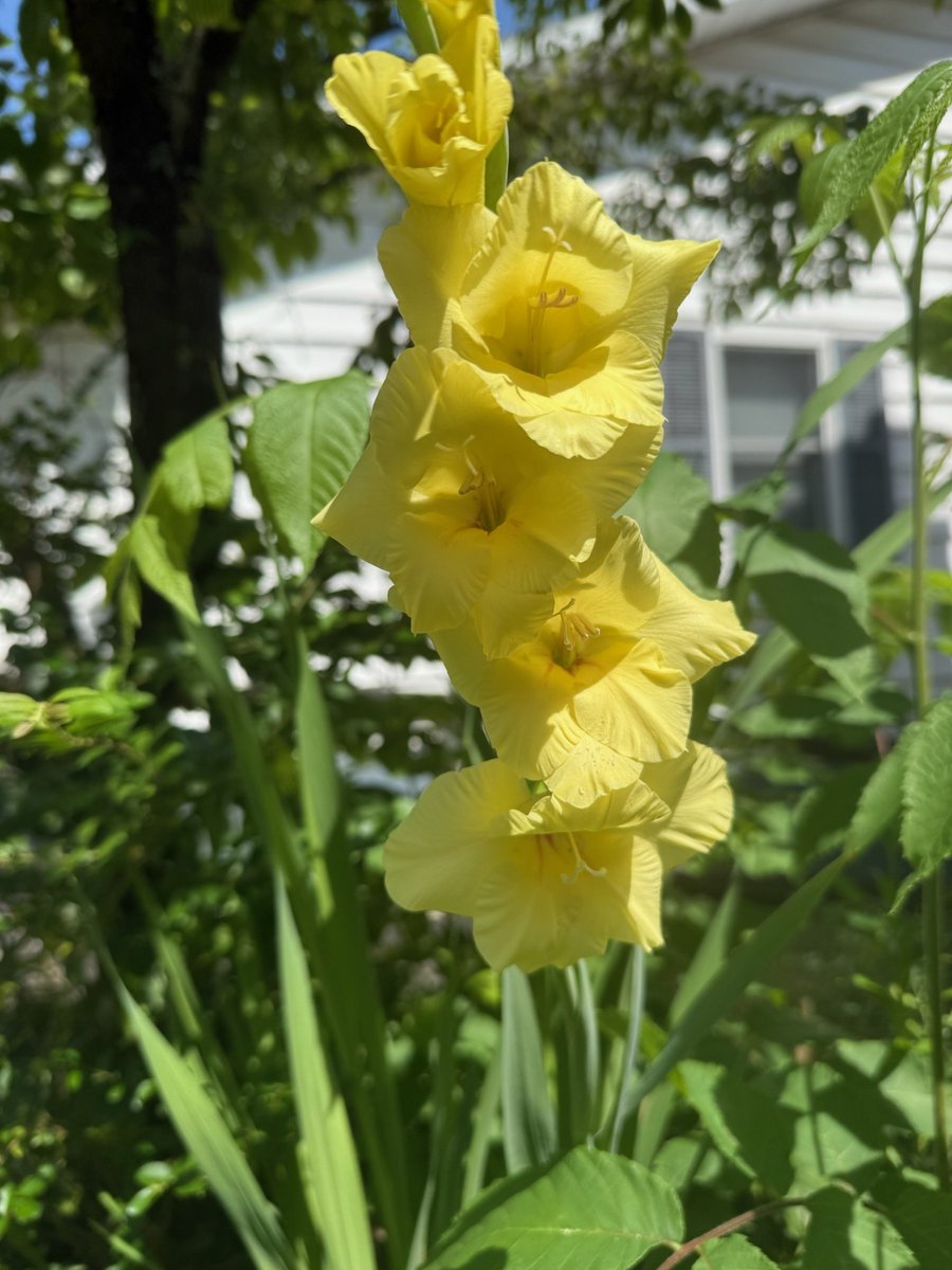 MountainRaptor's tweet image. Glads to make you smile