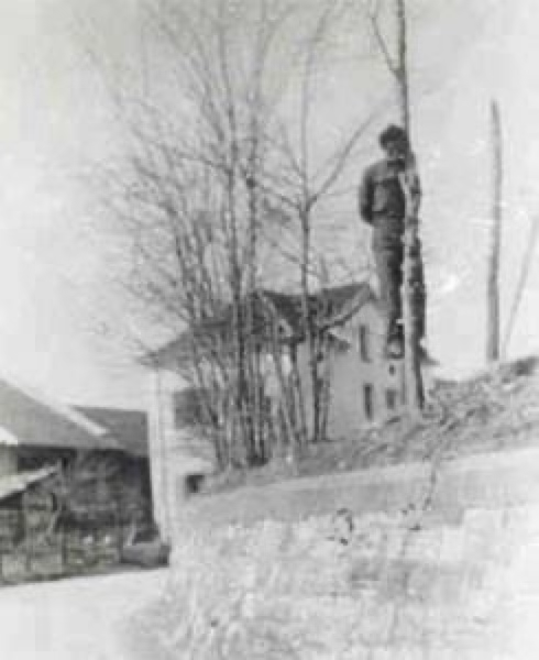 ANPI III Municipio Roma "Orlando Orlandi Posti" tweet media