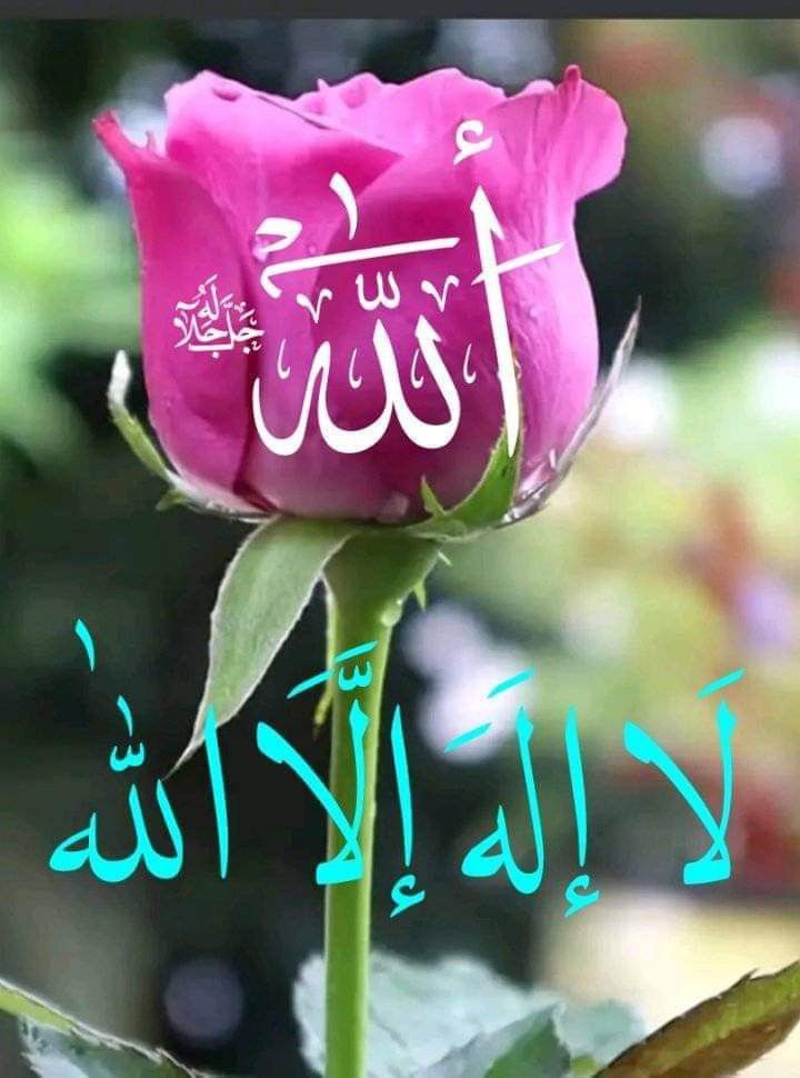 YASEEN (@y22ny) on Twitter photo ╦═╗🅱️ 04
║╣⭕️∟∟⭕️W
╩ #P_PTi
<a href="/NM1k_/">༺ 💎𒆜𝑵𝑬𝑬𝑵𝑨𝑯𒆜💎 ༻</a>
<a href="/MNPTi1/">𝟏.𝟐𝐌👑⃟≛⃝𝔐𝔲𝔫𝔰𝔦𝔣🕊️⃟⋆ ابوسلم ≛⃝🔶</a>
<a href="/Dni_40/">Daniyal</a>
<a href="/P_PTi4/">Nosheen Aurangzaib</a>
<a href="/NM3k_/">⚛★ 🎀 𝒩𝐸𝐸𝒩𝒜𝐻 🎀 ★⚛</a>
<a href="/NM2k__/">ıllıllı 🌸 N͙E͙E͙N͙A͙H͙ 🌸 ıllıllı</a>
<a href="/IAIT_/">Talat Iqbal</a>
<a href="/IAIJ1_/">Javed Iqbal</a>
<a href="/skiii7i/">S khan</a>
<a href="/nbea_h/">#𝕾𝖚𝖕𝖊𝖗𝕱𝖗𝖎𝖊𝖓𝖉𝖘 #𝕿𝖔𝖕𝕱𝖗𝖎𝖊𝖓𝖉𝖘</a>
<a href="/shZ447/">𝕊𝕙𝕒𝕙𝕫𝕒𝕕 𝕄𝕦𝕟𝕚𝕣</a>
<a href="/sam_5as/">Aslam Sameer</a>
<a href="/OdriSeva/">Odri Seva</a>
🌹
<a href="/zirwa_786/">꧁༒𝓩𝓲𝓻𝔀𝓪 𝓐𝓾𝓻𝓪𝓷𝓰𝔃𝓪𝓲𝓫༒꧂</a>
<a href="/zubm9231/">ZUBAIR Muhammad</a>
<a href="/Adem_S03/">𝗔𝗱𝗲𝗺_ 𝗔𝗹𝘁𝗮𝗻</a>
<a href="/Noshii_786/">꧁𝓝𝓸𝓼𝓱𝓮𝓮𝓷꧂ᵀᵉᵃᵐˢᵒᵏ</a>
<a href="/PTIJAPANNN/">PTI JAPAN🇵🇸❤#804</a>
<a href="/aminuallah10/">aminu allah ⁽ᵂᵃʳʳᶦᵒʳ ᵒᶠ ᴾᵃᵏᶦˢᵗᵃⁿ⁾</a>
<a href="/Nosheen__786/">𝕹𝖔𝖘𝖍𝖊𝖊𝖓 #𝕻_𝕻𝕿𝖎</a>
<a href="/Owais_khan619/">Owais_khan619</a>
<a href="/ShaguftaMansoo9/">Mrs.SM</a>
<a href="/KamranA17555180/">ISF Sindh Official 🇧🇫</a> ╦═╗🅱️ 04
║╣⭕️∟∟⭕️W
╩ #P_PTi
<a href="/NM1k_/">༺ 💎𒆜𝑵𝑬𝑬𝑵𝑨𝑯𒆜💎 ༻</a>
<a href="/MNPTi1/">𝟏.𝟐𝐌👑⃟≛⃝𝔐𝔲𝔫𝔰𝔦𝔣🕊️⃟⋆ ابوسلم ≛⃝🔶</a>
<a href="/Dni_40/">Daniyal</a>
<a href="/P_PTi4/">Nosheen Aurangzaib</a>
<a href="/NM3k_/">⚛★ 🎀 𝒩𝐸𝐸𝒩𝒜𝐻 🎀 ★⚛</a>
<a href="/NM2k__/">ıllıllı 🌸 N͙E͙E͙N͙A͙H͙ 🌸 ıllıllı</a>
<a href="/IAIT_/">Talat Iqbal</a>
<a href="/IAIJ1_/">Javed Iqbal</a>
<a href="/skiii7i/">S khan</a>
<a href="/nbea_h/">#𝕾𝖚𝖕𝖊𝖗𝕱𝖗𝖎𝖊𝖓𝖉𝖘 #𝕿𝖔𝖕𝕱𝖗𝖎𝖊𝖓𝖉𝖘</a>
<a href="/shZ447/">𝕊𝕙𝕒𝕙𝕫𝕒𝕕 𝕄𝕦𝕟𝕚𝕣</a>
<a href="/sam_5as/">Aslam Sameer</a>
<a href="/OdriSeva/">Odri Seva</a>
🌹
<a href="/zirwa_786/">꧁༒𝓩𝓲𝓻𝔀𝓪 𝓐𝓾𝓻𝓪𝓷𝓰𝔃𝓪𝓲𝓫༒꧂</a>
<a href="/zubm9231/">ZUBAIR Muhammad</a>
<a href="/Adem_S03/">𝗔𝗱𝗲𝗺_ 𝗔𝗹𝘁𝗮𝗻</a>
<a href="/Noshii_786/">꧁𝓝𝓸𝓼𝓱𝓮𝓮𝓷꧂ᵀᵉᵃᵐˢᵒᵏ</a>
<a href="/PTIJAPANNN/">PTI JAPAN🇵🇸❤#804</a>
<a href="/aminuallah10/">aminu allah ⁽ᵂᵃʳʳᶦᵒʳ ᵒᶠ ᴾᵃᵏᶦˢᵗᵃⁿ⁾</a>
<a href="/Nosheen__786/">𝕹𝖔𝖘𝖍𝖊𝖊𝖓 #𝕻_𝕻𝕿𝖎</a>
<a href="/Owais_khan619/">Owais_khan619</a>
<a href="/ShaguftaMansoo9/">Mrs.SM</a>
<a href="/KamranA17555180/">ISF Sindh Official 🇧🇫</a>