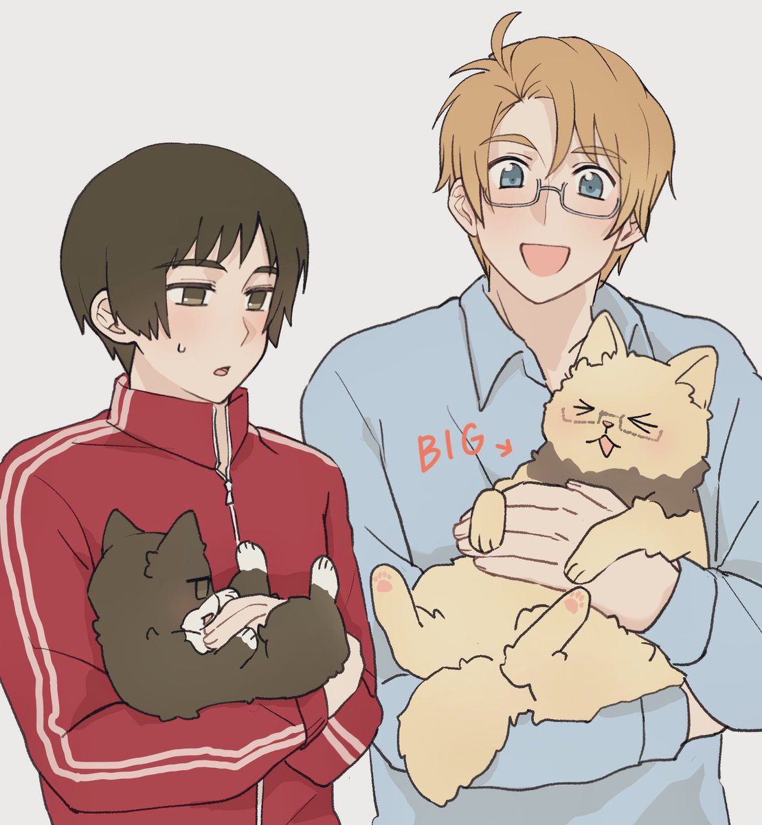 ねこアル菊