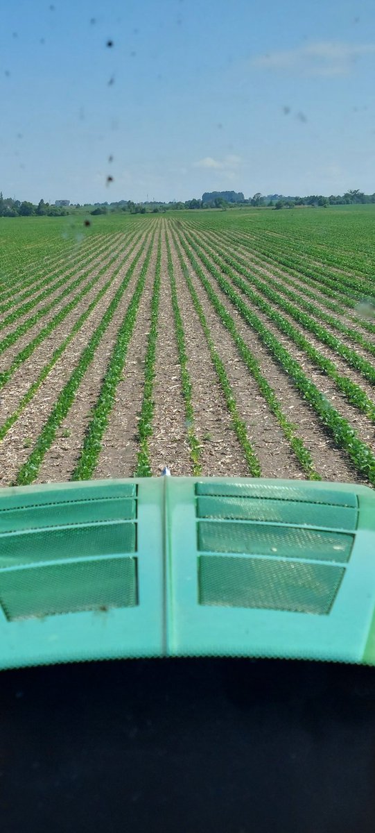 wilkjef's tweet image. Busy spot here with @JonWilken, both parked at the same farm...and both following rows today 👌