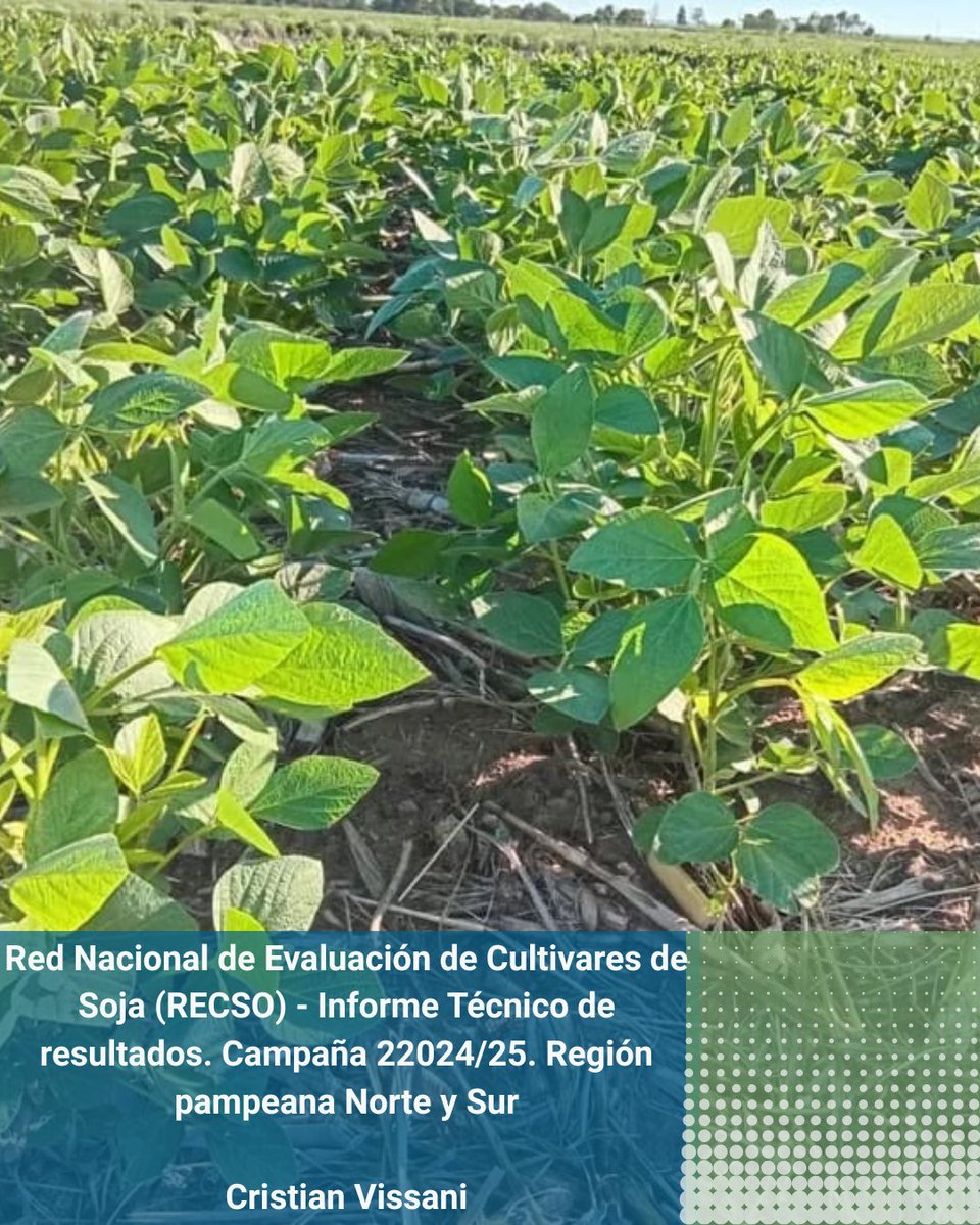 INTAMsJuarez's tweet photo. 🌱En el informe se incluyen los resultados de los ensayos en la campaña 2024/2025 en las regiones Pampeana Norte y Sur de nuestro país.
✅TRABAJO COMPLETO LINK 👉 https://t.co/wWeC5SQqEs
@IntaManfredi
@ASASemilleros
#recso #intamarcosjuárez #soja #rinde https://t.co/vf9GOtDTUV