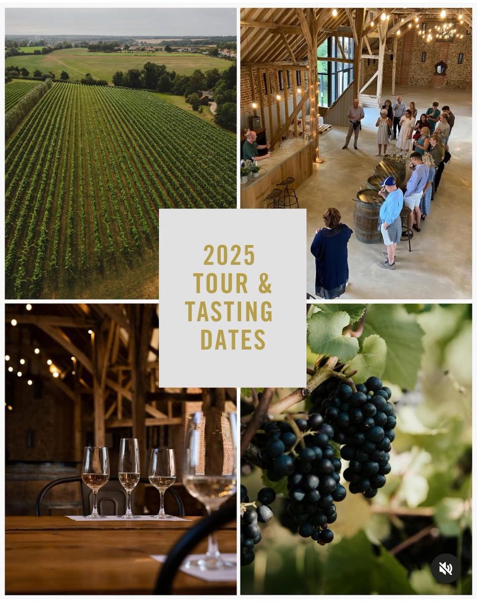 @tuffonhall tweet media