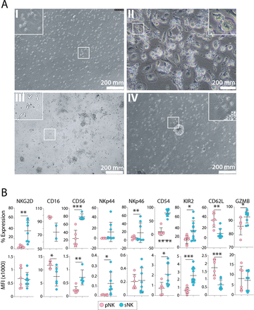Waggoner Lab (@labwaggoner) on Twitter photo Editorial <a href="/luddyka/">Kimberly Luddy</a>: extending the functional lifespan of NK cells: towards durable cytotoxicity in NK-cell based immunotherapy
bmjoncology.bmj.com/content/4/1/e0…
on
bmjoncology.bmj.com/content/4/1/e0… Editorial <a href="/luddyka/">Kimberly Luddy</a>: extending the functional lifespan of NK cells: towards durable cytotoxicity in NK-cell based immunotherapy
bmjoncology.bmj.com/content/4/1/e0…
on
bmjoncology.bmj.com/content/4/1/e0…