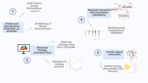 📢 NEW PAPER!
George Hanson et al. screened 43k+ natural products against the Dengue envelope protein and identified 4 lead compounds predicted to block viral entry by targeting the β-OG binding pocket. MD simulations suggest stable binding.
📖: doi.org/10.1142/S27374…
#compchem