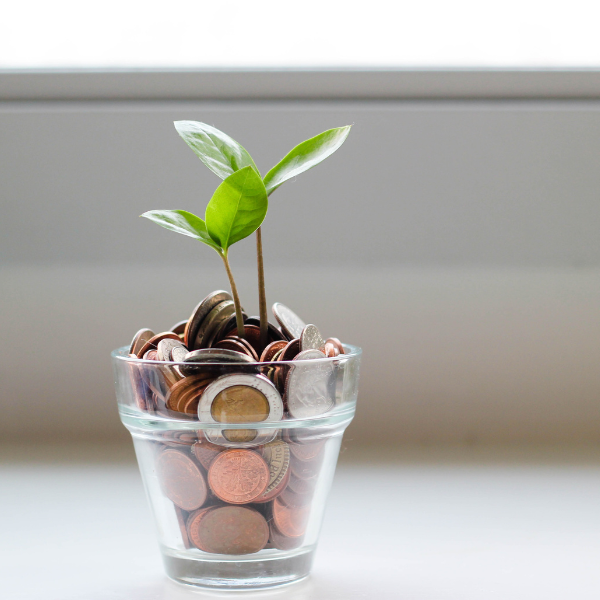 Rendicontazione di sostenibilità Esg, la Banca centrale europea è critica sulla proposta UE di ridurre i soggetti obbligati ➡️ reteambiente.it/news/61556/