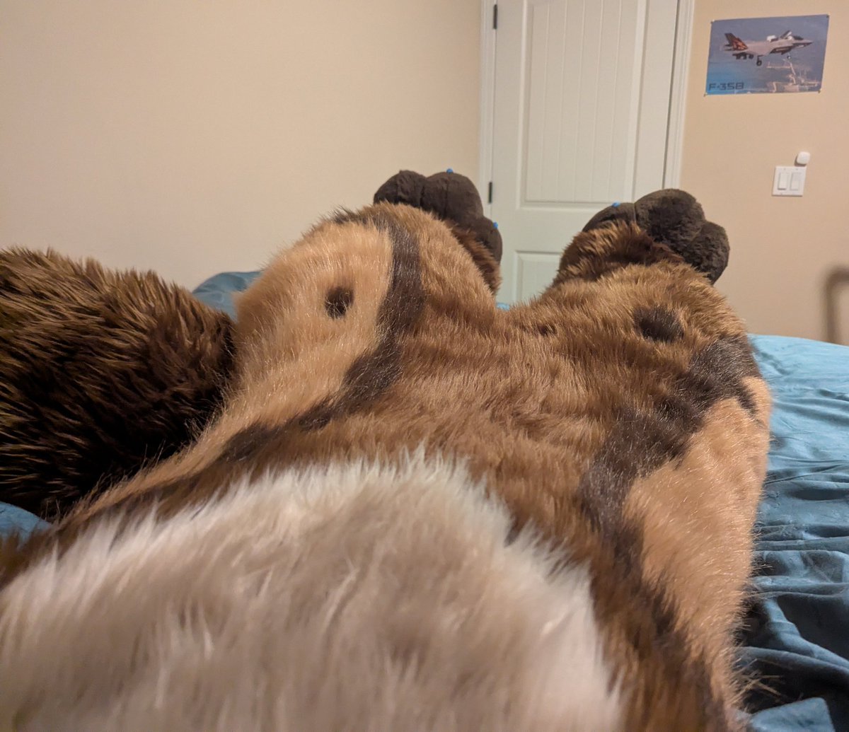 POV: you woke up as a pine marten