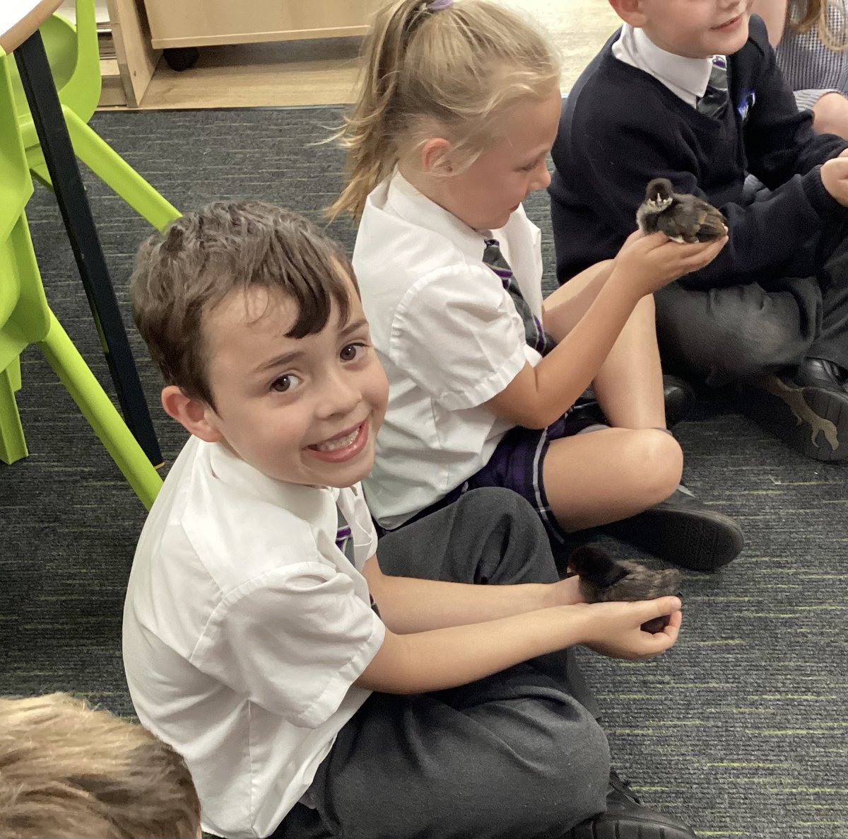 The chicks love cuddles from Robin class <a href="/NWATrust/">NWA_Trust</a>