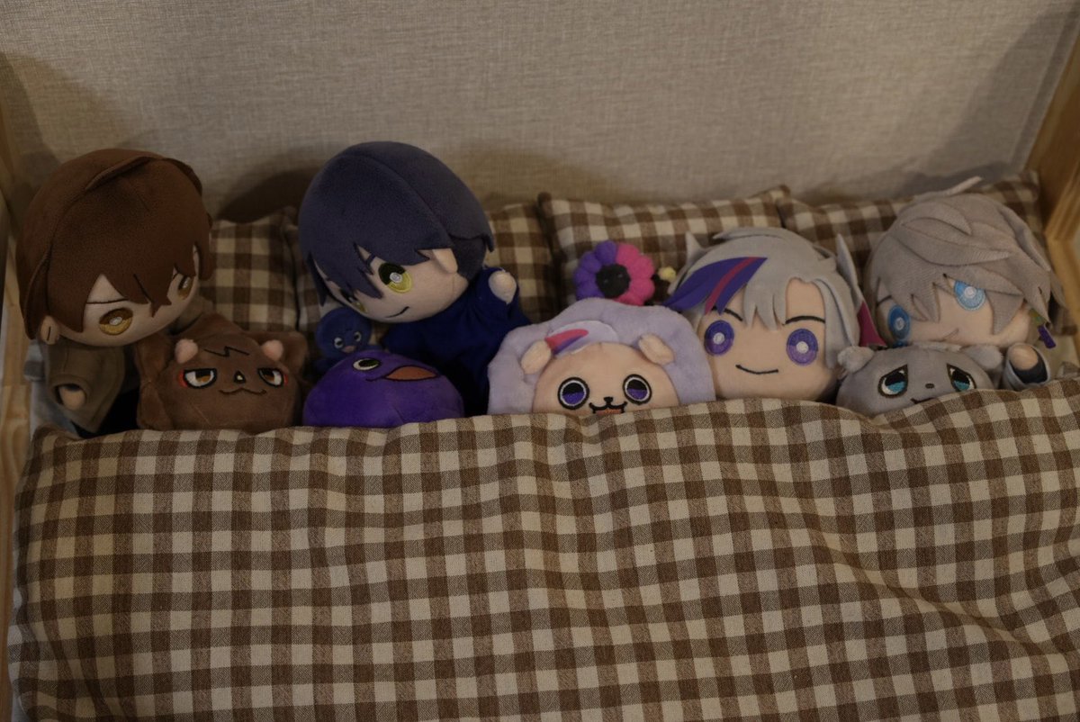 rof_mya's tweet photo. 侵略されてる、、🤣
みんなでおやすみ🛌ˎˊ˗ https://t.co/zUdvepMFyk
