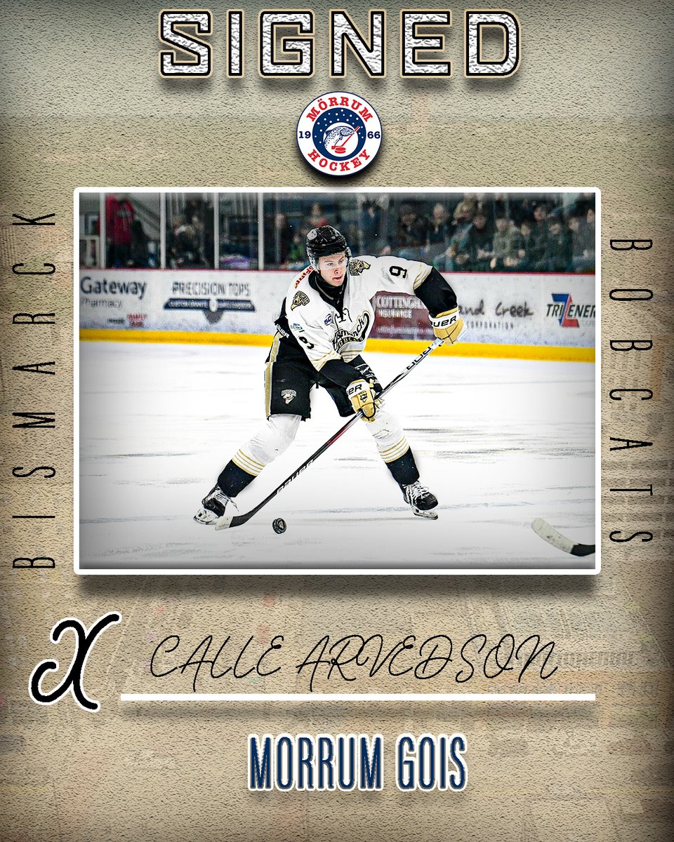 ✍️ SIGNED ✍️

The Bismarck Bobcats are proud to announce that Defenseman Calle Arvedson has signed a pro contract with Mörrum GoIS in HockeyEttan! Voice of the Bobcats, Brandon Luisi, caught up with Arvedson to discuss the process of him signing back home in Sweden! Check it out
