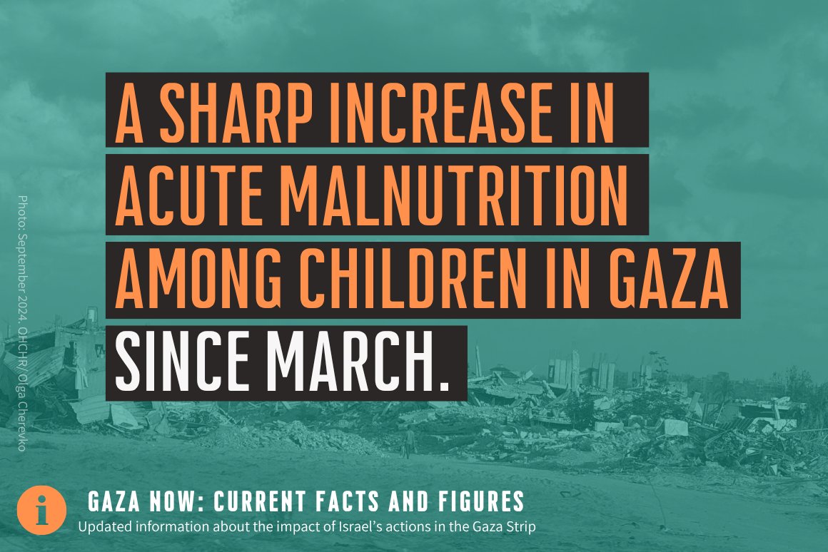 Israeli attacks on the displaced &amp; people seeking aid occur almost daily, incurring mass casualties. Many are surviving on one meal or less per day. The humanitarian response is on the verge of collapse due to a severe shortage of fuel. More updates: gisha.org/en/the-humanit…