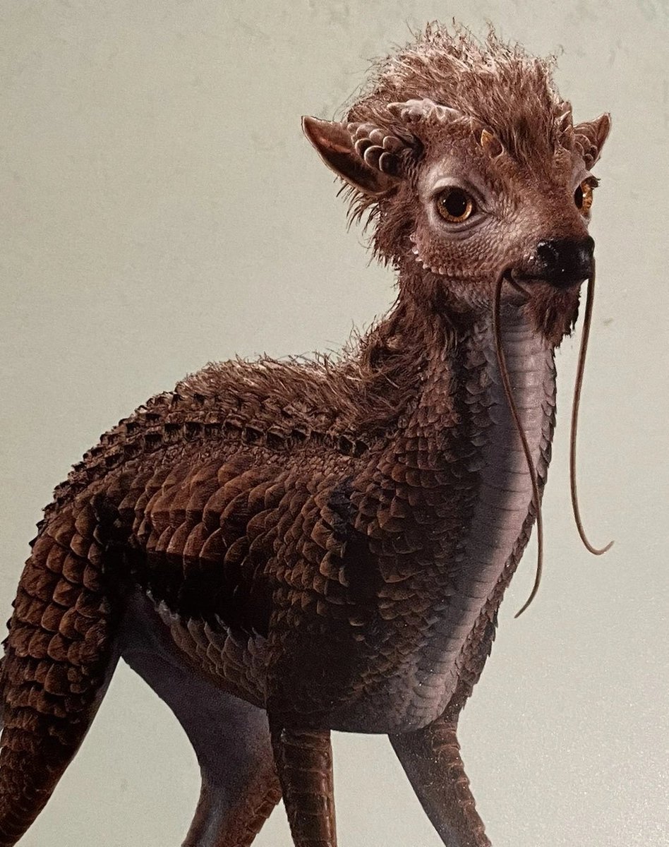 0xpat - 21e8 tweet media