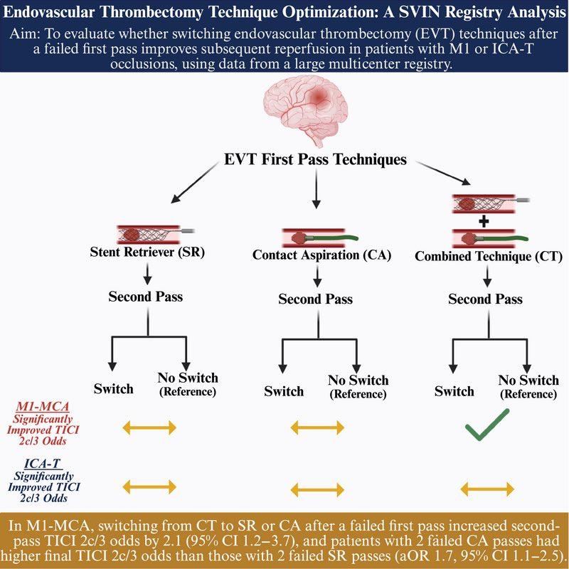 CerebrovascLab's tweet image. New from the SVIN Registry, our latest collaborative work published in Stroke 📊
In M1 occlusions, switching thrombectomy technique after a failed first pass especially from CT to SR or CA significantly improved second-pass reperfusion odds.
More than 1400 multi-center EVT…