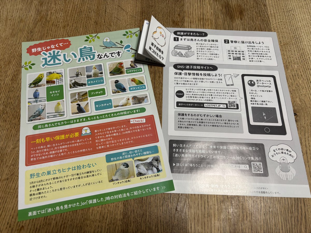 博物ふぇす ガクタメ紹介
【 E44,E45 あんぶろーしあ＆あまざけ屋 】

「迷子の鳥を見つけたら？」をテーマに
迷子鳥の保護のプロセスを掲示しますが

迷子鳥にしない、迷子鳥の保護のための活動をしている
帰ろう、ことり。のチラシも
同時配布いたします！
<a href="/mamoroukotori/">守ろう、ことり。| 帰ろう、ことり。</a> 

#博物ふぇす
#ガクタメ