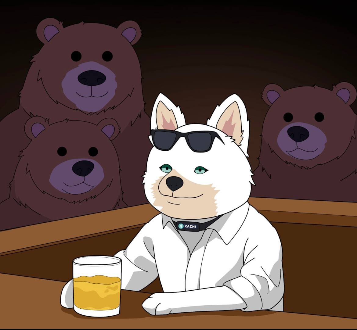 The bears are lurking. Kachi’s locked in.
🕶️ Dripped out. 🥃 Unshaken. 🐾 Built different.
$KACHI isn’t just surviving these red days —
Shes owning it.
If you know, you KNOW you’re early. Diamond paws all the way. 💎 🐾 
$KACHI is the chosen one.
Relax “more whiskey please” 🥃😎