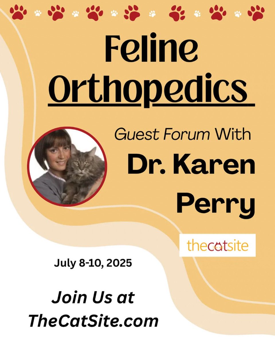 Dr. Karen Perry DECVS MSc Vet Ed (@karenlperryk) on Twitter photo I am thrilled to have been invited to manage a Q&A session on feline orthopedics hosted by <a href="/thecatsite/">TheCatSite.com</a> from today - Tuesday 8th July through to the 10th July. If you have questions or would just like to peruse the discussion, which is already getting really interesting, then join I am thrilled to have been invited to manage a Q&A session on feline orthopedics hosted by <a href="/thecatsite/">TheCatSite.com</a> from today - Tuesday 8th July through to the 10th July. If you have questions or would just like to peruse the discussion, which is already getting really interesting, then join