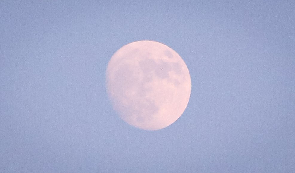 hiy_twinkle's tweet image. まだ梅雨明けしてないからか
梅雨らしい雨が降らないからか
夏になりきれない空に霞む月は淡く朧げ
