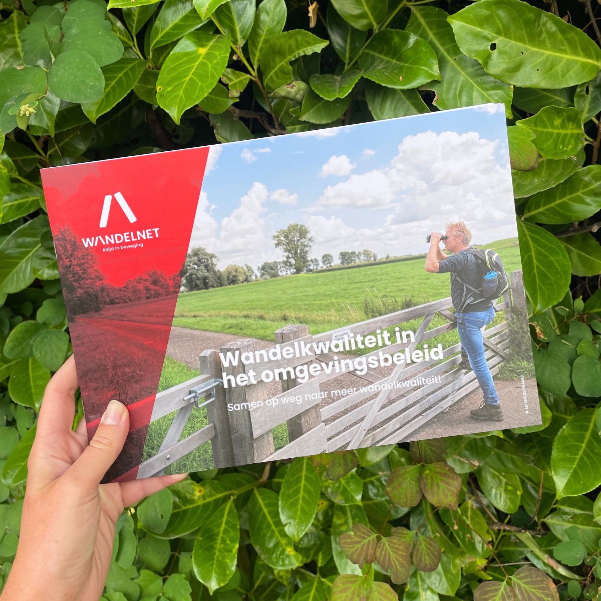 📢 Nieuw: brochure Wandelkwaliteit in het Omgevingsbeleid🗺️🚶‍♀️

Hoe geef je wandelen een structurele plek in het omgevingsbeleid? Onze nieuwste publicatie biedt antwoorden.

📘 Download hier: wandelnet.nl/pers-en-public…

#wandelkwaliteit #omgevingsbeleid #wandelen #leefomgeving