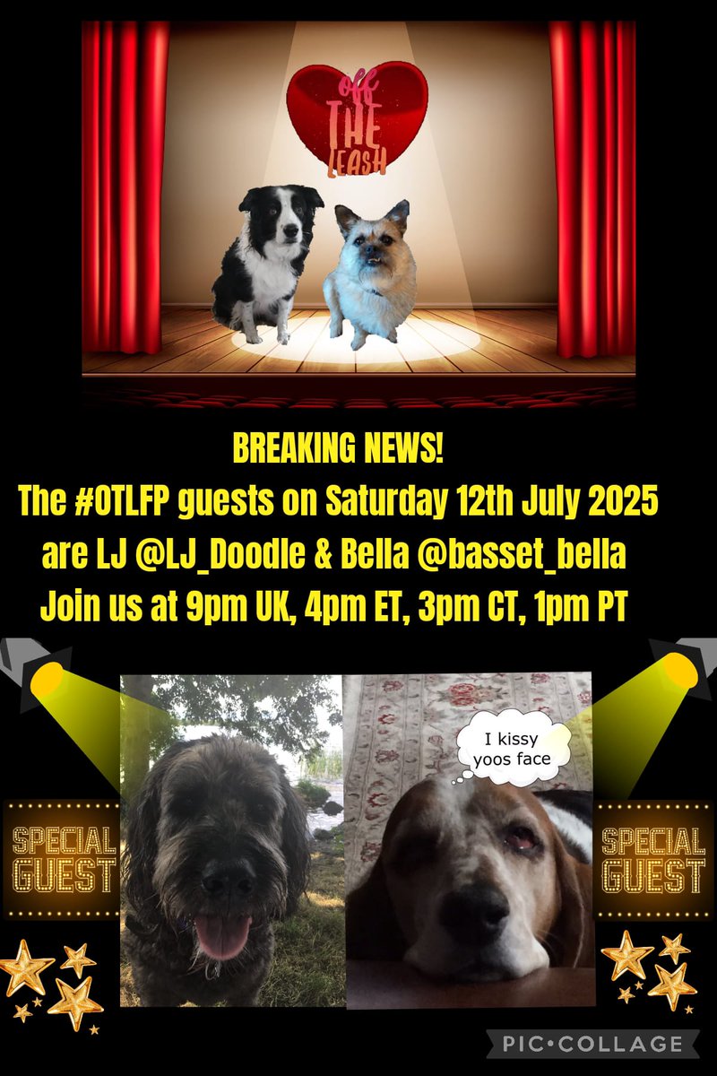 Join us Saturday 4pm ET  3pm CT  2pm MT  1pm PT  UK 9pm
Search &amp; follow #OTLFP to join in all the fun! All are welcome! 😀 
@mariann12642534
<a href="/kthreadgold113/">Angels Ezra and JC 🐾🐾🐾🐾</a>
@rosie_fluffybun
<a href="/soulkitty/">Kala, Bonnie, Skye 🐕🐕🐕🐾🐾 Kitty (mum)</a>
@cheesecake7777
@wntersky1
<a href="/pacer_t/">Pacer T Dog</a>
<a href="/libby_green/">Libby Green</a>
@tidepride8
<a href="/pugger06/">peggy g & peppy</a>