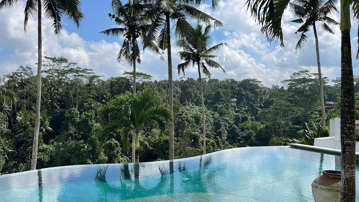 مُحَمّد tweet media