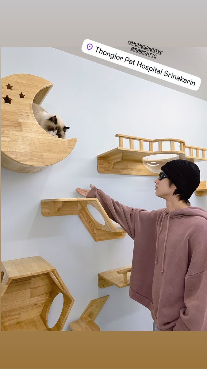 🐱 • <a href="/PetThonglor/">Thonglor Pet Hospital</a> IGs Update 250708

Enjoy day 🎀💖

#Amemeow
#bbrightvc 
#Thonglorpethospital