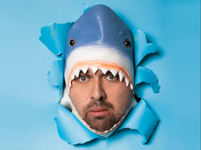 Captivate tweet media