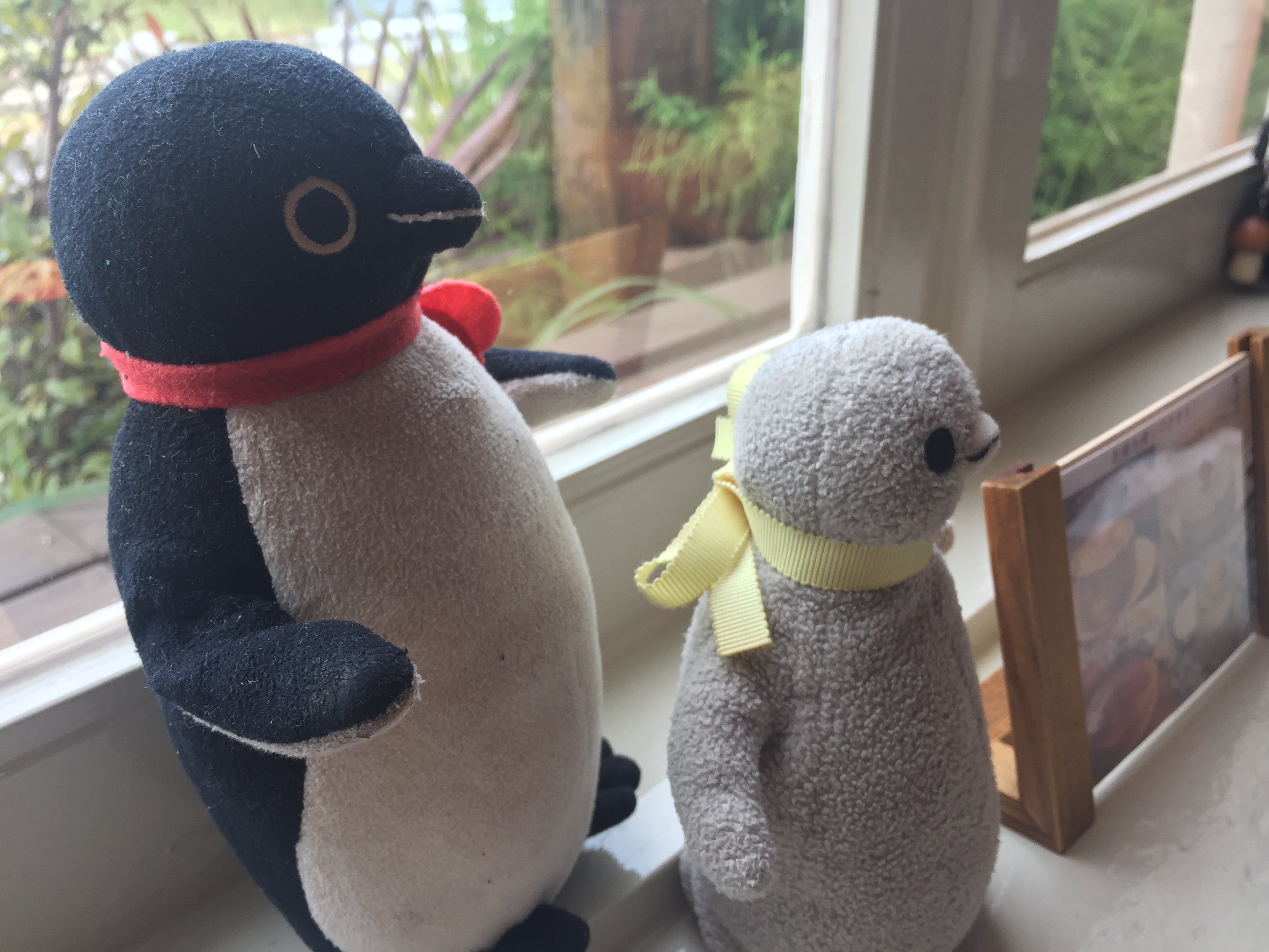 ☆ペンギン☆ (@penguin00000001) / X