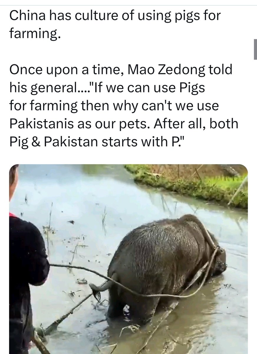 pathik270674 tweet media