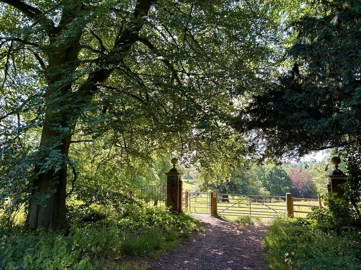 WeatherWolds's tweet image. In The Shade. 21°C and warming up again. Butterflies