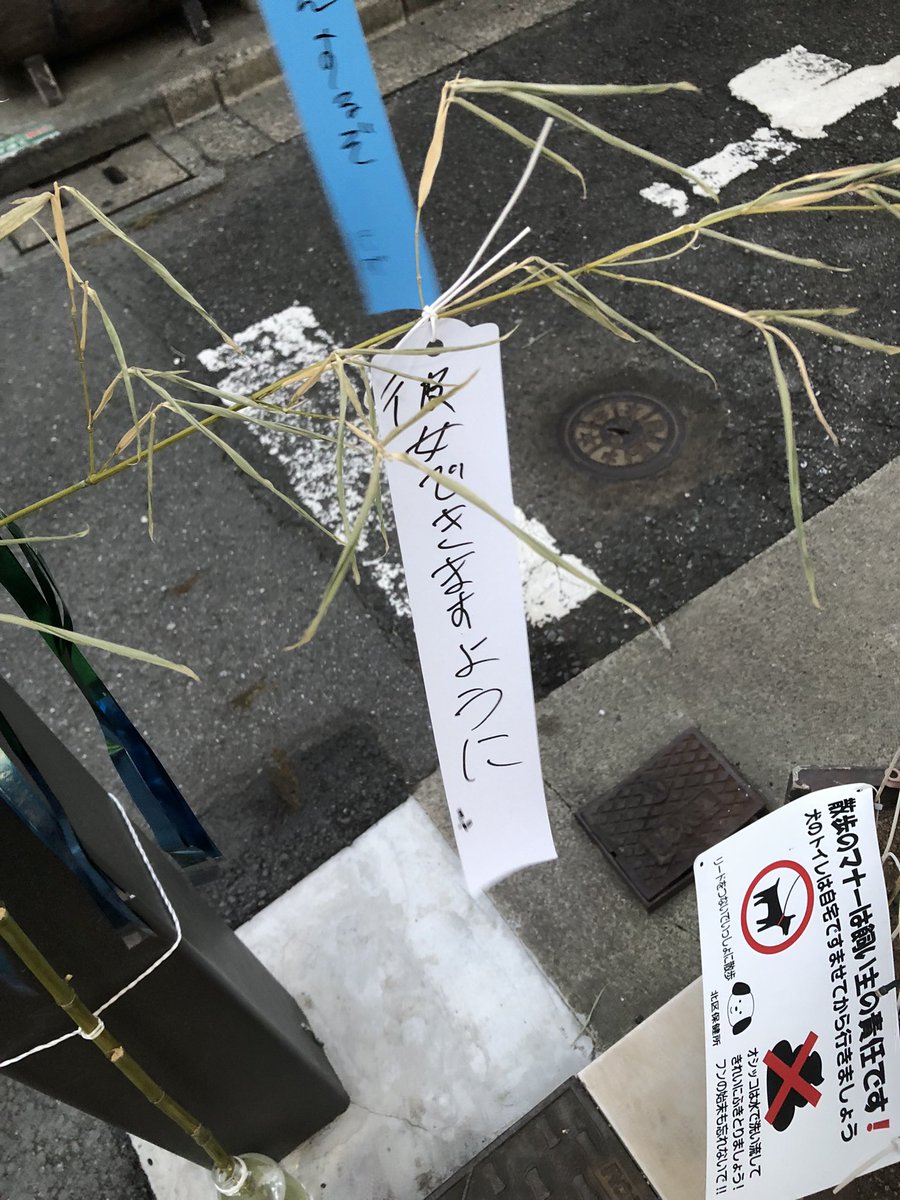 _keisuke_310's tweet image. こんばんは。
昨日から気づいていたのですが、煩悩にまみれた短冊🎋の群れを発見!。
少年よ大志を抱け。
自分の望みは、陛下に弓引く不届きな政党の構成員とその支持者がこの世から一掃される事です。