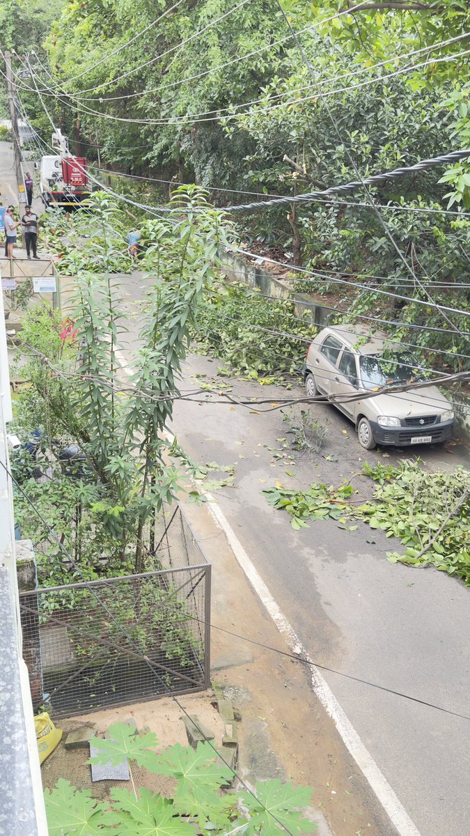 Trimming is welcome but please clear road as it is affecting moment of vehicles at Maitrivihar. ⁦<a href="/bmcbbsr/">BMC</a>⁩