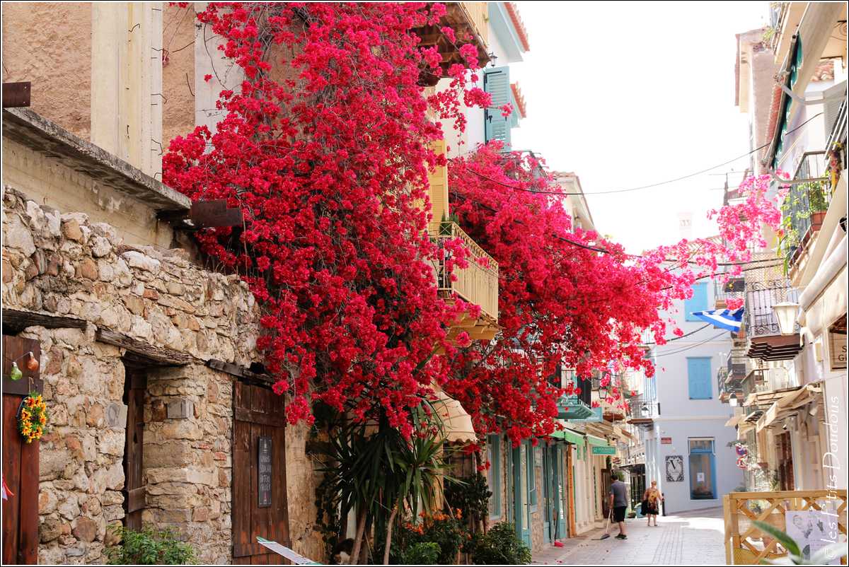 les P'tits Doudous tweet media