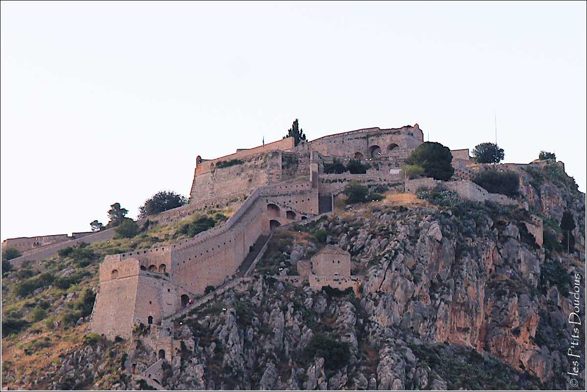 les P'tits Doudous tweet media