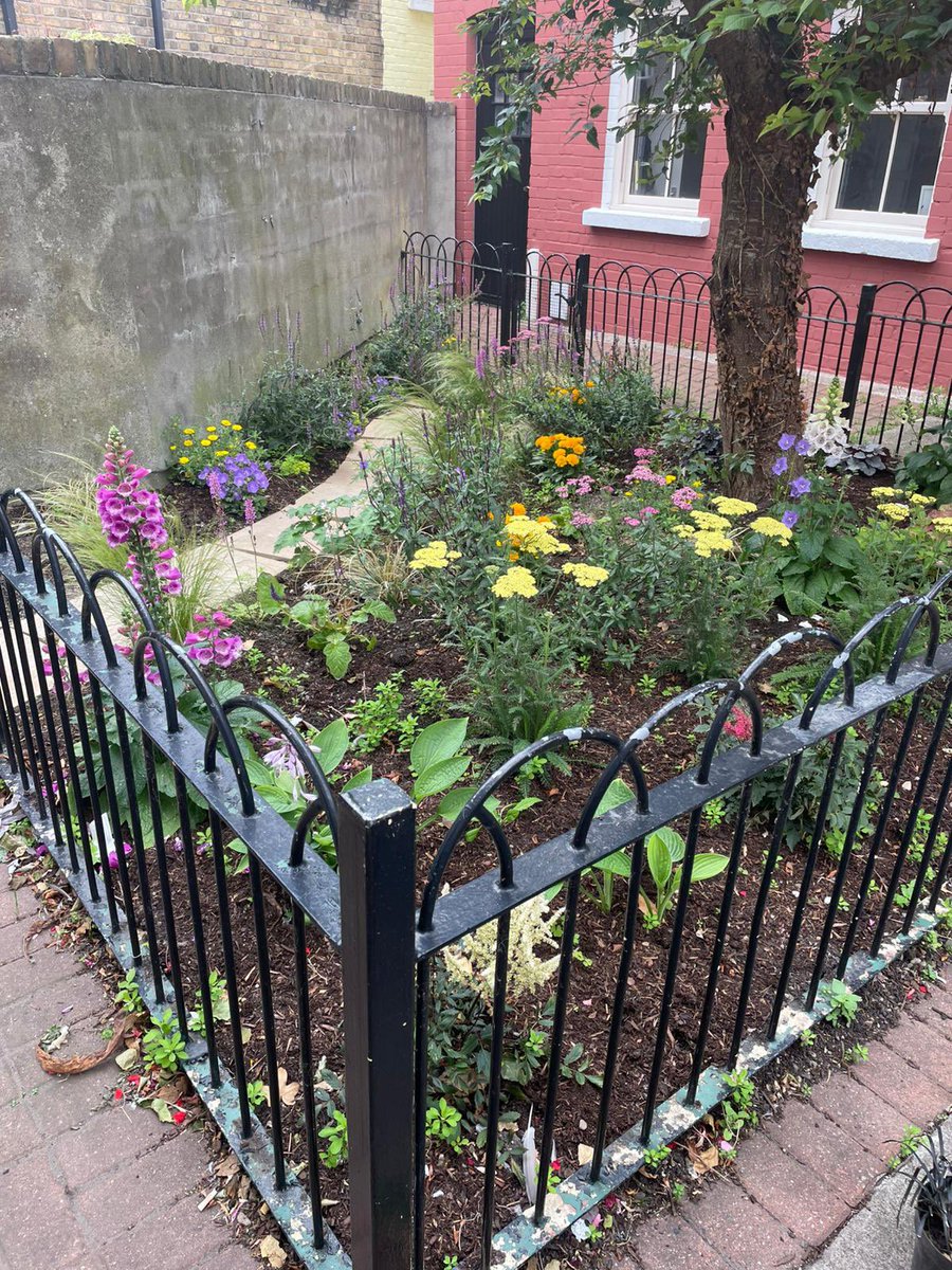 dunlaoghairecra's tweet image. Mills St in Dún Laoghaire
Tidy Towns have brought this small pocket park back to life & it looks wonderful.
Look for it next time you walk down Cross Ave, another hidden gem in our beautiful town.
❤️