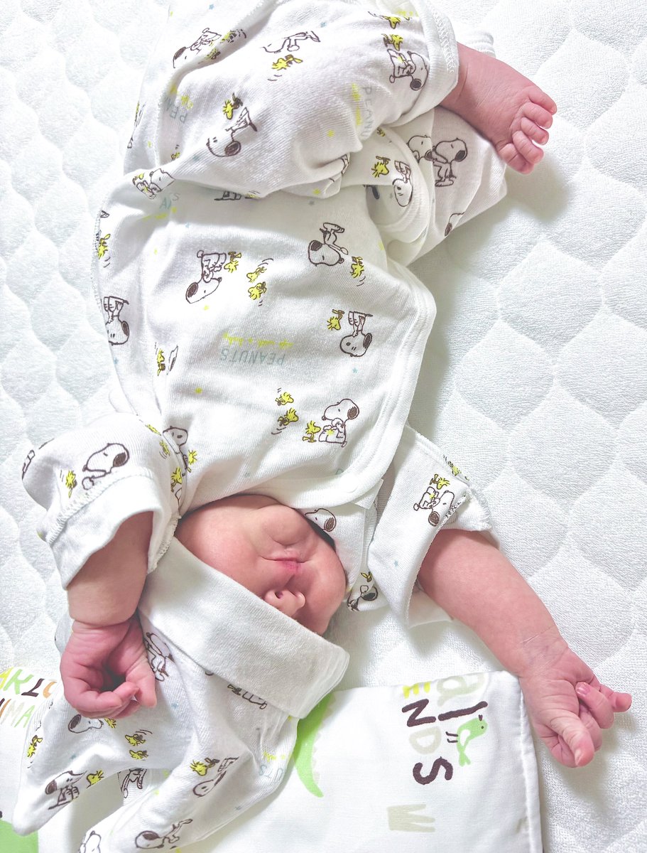 SeKiA!Ꙭ꙳ tweet media