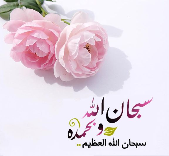 𝐒ҽԋαʀ 👑 (@sehar___) on Twitter photo #ملک_پرموشن
Follow🏧
<a href="/0Mahiii/">khan Ki Khilariii 🏏</a> <a href="/sehr_ik/">سحر ملک 🦋🦋</a>
<a href="/01rshd/">ارشـــد مــلــک❤️</a> <a href="/01Mllik/">𝙈𝘼𝙇𝙄𝙆 𝙅𝙄💫💙</a>
<a href="/1arshd/">𝗔𝗿𝘀𝗵𝗱 𝗠𝗹𝗶𝗸💫👑</a> <a href="/1Arshii/">𝓐𝓻𝓼𝓱𝓲 𝓜𝓵𝓲𝓴 ☪ツ</a>
<a href="/1fazl2/">فضـ𝓪𝓴𝓫𝓪𝓻ـل</a> <a href="/11iasd/">Ali Asad</a>
<a href="/_1rhe/">شازیہ</a>
<a href="/Znt31/">🦋Zeenat🦋</a>
<a href="/Fat9T/">Arshia🥀🍂</a>
<a href="/1fzalI/">💓PTI ACCOUNTS PROMORTER💓</a>
<a href="/Znt33/">🦋ZêēñäT</a>
<a href="/guljnt/">گُل جنت🌷</a>
<a href="/_aina1/">AnuM🦩</a>
<a href="/ze_kh1/">زینیـــــہ خـان</a>
<a href="/Pir_80/">Peer Shb</a>
<a href="/Ghz35/">🇬 🇭 🇦 🇿 🇦 🇱 🇦 🇭</a>
<a href="/0Sehrr/">سحر ملک 🕊️🦋</a>
<a href="/111mn1/">🐬آمنہ ملک🦋</a>
<a href="/10bshr/">Bashir Ahmed</a>
<a href="/NK_pti/">𝒜𝓏𝒶𝒹 🇵🇰</a>
<a href="/ZK__32/">Zumar Khan</a>
<a href="/glmsjd/">𝑺𝒂𝒋𝒋𝒂𝒅 ✨</a>
<a href="/shz787/">🌟⭐️🌟🌟sʜᴀʜᴢᴀᴅ ᴍᴜɴɪʀ🌟⭐️🌟⭐️</a>
<a href="/1shobii/">Shoaib Khoso🇵🇰</a>
<a href="/1Sehar_/">𝐒ҽԋαʀ 👑</a>
<a href="/Snam5_/">🍁Sanam🍁</a>
<a href="/shZ447/">𝕊𝕙𝕒𝕙𝕫𝕒𝕕 𝕄𝕦𝕟𝕚𝕣</a>
<a href="/Hurain_5/">Hurain 💞حورین</a>
<a href="/Haris_943/">Haris PTI ᵀᶠᴸᵂ</a> #ملک_پرموشن
Follow🏧
<a href="/0Mahiii/">khan Ki Khilariii 🏏</a> <a href="/sehr_ik/">سحر ملک 🦋🦋</a>
<a href="/01rshd/">ارشـــد مــلــک❤️</a> <a href="/01Mllik/">𝙈𝘼𝙇𝙄𝙆 𝙅𝙄💫💙</a>
<a href="/1arshd/">𝗔𝗿𝘀𝗵𝗱 𝗠𝗹𝗶𝗸💫👑</a> <a href="/1Arshii/">𝓐𝓻𝓼𝓱𝓲 𝓜𝓵𝓲𝓴 ☪ツ</a>
<a href="/1fazl2/">فضـ𝓪𝓴𝓫𝓪𝓻ـل</a> <a href="/11iasd/">Ali Asad</a>
<a href="/_1rhe/">شازیہ</a>
<a href="/Znt31/">🦋Zeenat🦋</a>
<a href="/Fat9T/">Arshia🥀🍂</a>
<a href="/1fzalI/">💓PTI ACCOUNTS PROMORTER💓</a>
<a href="/Znt33/">🦋ZêēñäT</a>
<a href="/guljnt/">گُل جنت🌷</a>
<a href="/_aina1/">AnuM🦩</a>
<a href="/ze_kh1/">زینیـــــہ خـان</a>
<a href="/Pir_80/">Peer Shb</a>
<a href="/Ghz35/">🇬 🇭 🇦 🇿 🇦 🇱 🇦 🇭</a>
<a href="/0Sehrr/">سحر ملک 🕊️🦋</a>
<a href="/111mn1/">🐬آمنہ ملک🦋</a>
<a href="/10bshr/">Bashir Ahmed</a>
<a href="/NK_pti/">𝒜𝓏𝒶𝒹 🇵🇰</a>
<a href="/ZK__32/">Zumar Khan</a>
<a href="/glmsjd/">𝑺𝒂𝒋𝒋𝒂𝒅 ✨</a>
<a href="/shz787/">🌟⭐️🌟🌟sʜᴀʜᴢᴀᴅ ᴍᴜɴɪʀ🌟⭐️🌟⭐️</a>
<a href="/1shobii/">Shoaib Khoso🇵🇰</a>
<a href="/1Sehar_/">𝐒ҽԋαʀ 👑</a>
<a href="/Snam5_/">🍁Sanam🍁</a>
<a href="/shZ447/">𝕊𝕙𝕒𝕙𝕫𝕒𝕕 𝕄𝕦𝕟𝕚𝕣</a>
<a href="/Hurain_5/">Hurain 💞حورین</a>
<a href="/Haris_943/">Haris PTI ᵀᶠᴸᵂ</a>
