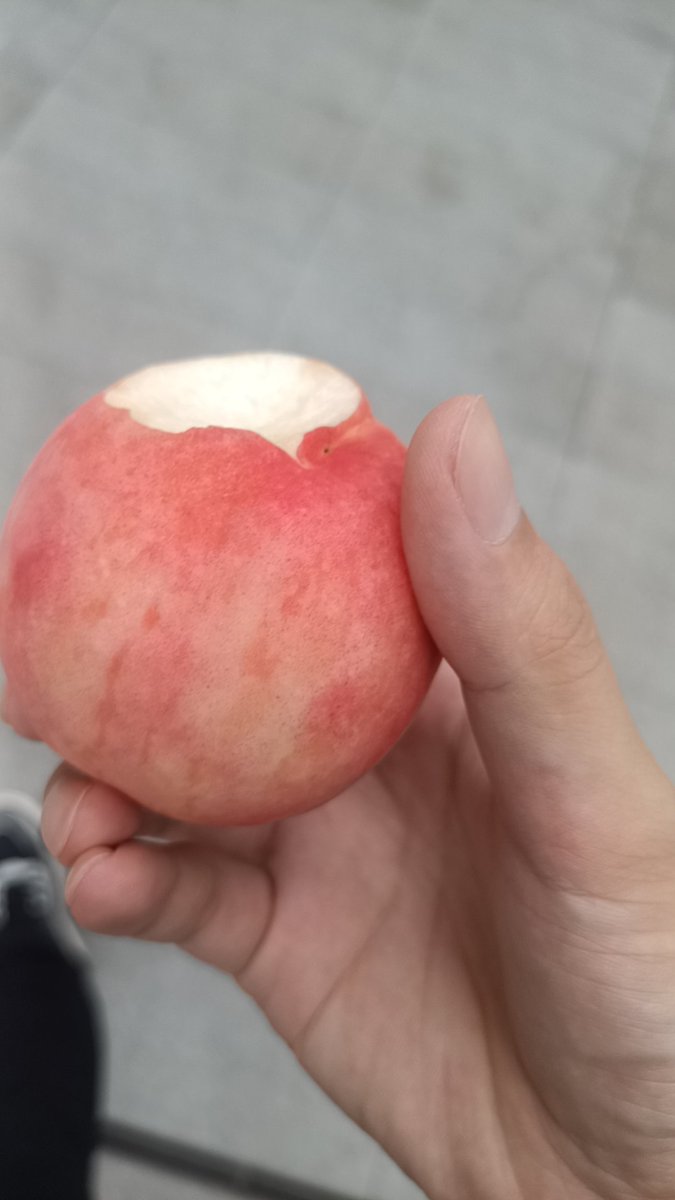 sunofcloudd's tweet photo. 水蜜桃🍑🍑🍑 https://t.co/VCDt4tynJ2