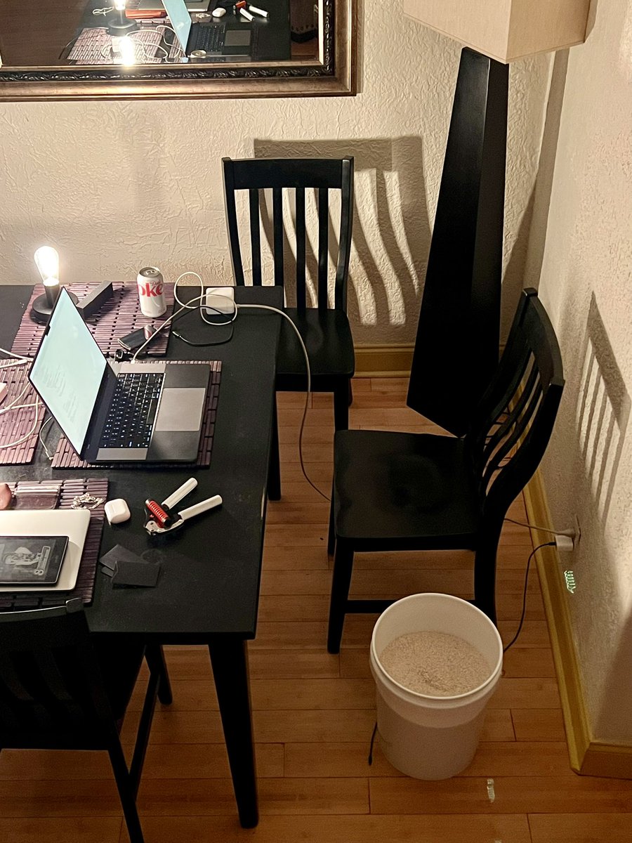 burnyko's tweet photo. rust compile times got me doing side quests https://t.co/kP0O0OjWLA