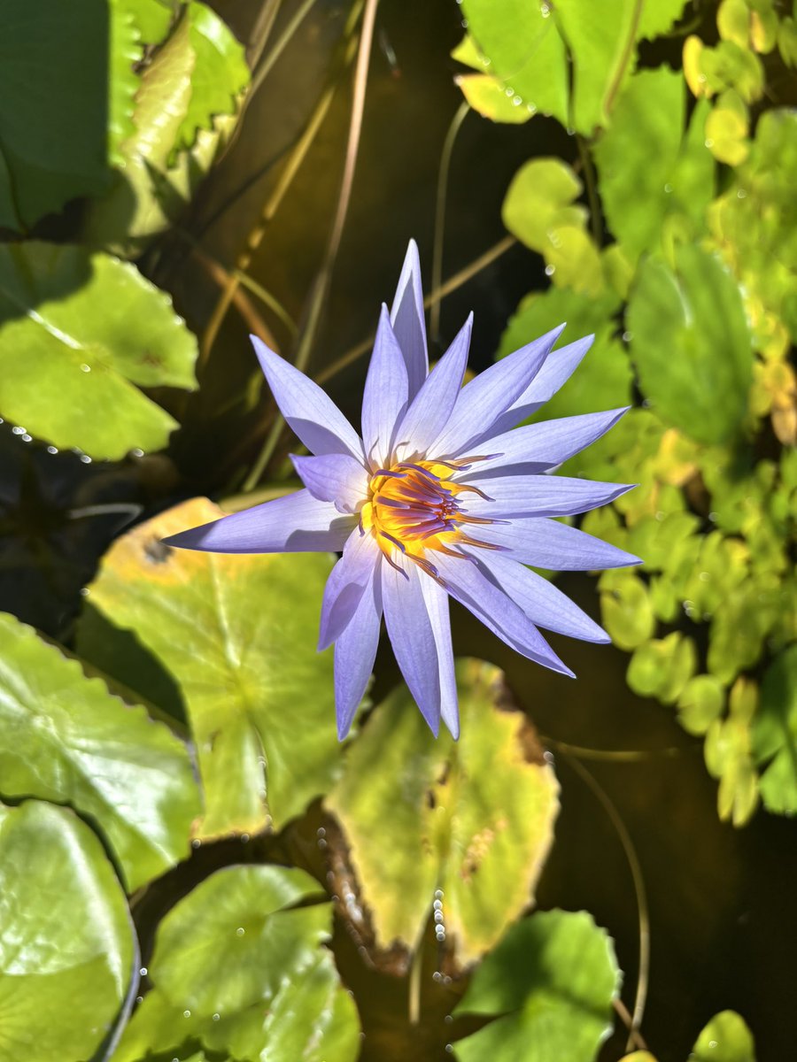 Almost _serious_art_gallery tweet media