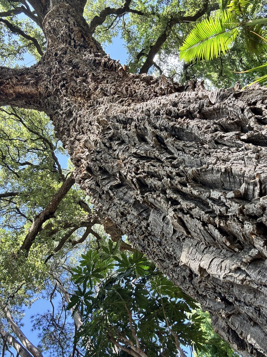 Almost _serious_art_gallery tweet media