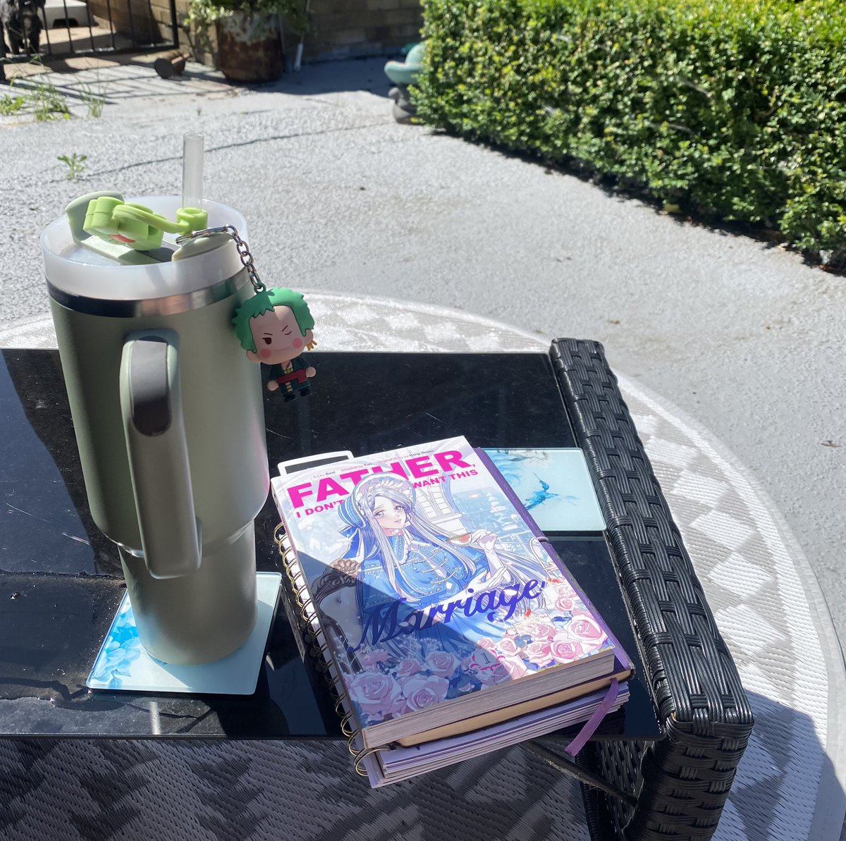 ShesGeminii's tweet image. Recharging in the garden before I get a bunch done today 💚💚💚 #cozygem