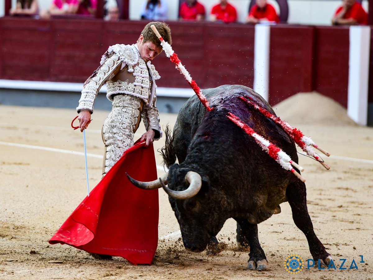 Y esto es intolerable en el toreo, no hay por dónde cogerlo, no se puede permitir. Es algo que creo que nunca antes había pasado y que jamás debería pasar. Un tío con el currículum de Borja Jiménez no puede no estar en las ferias por el FUTURO del toreo.