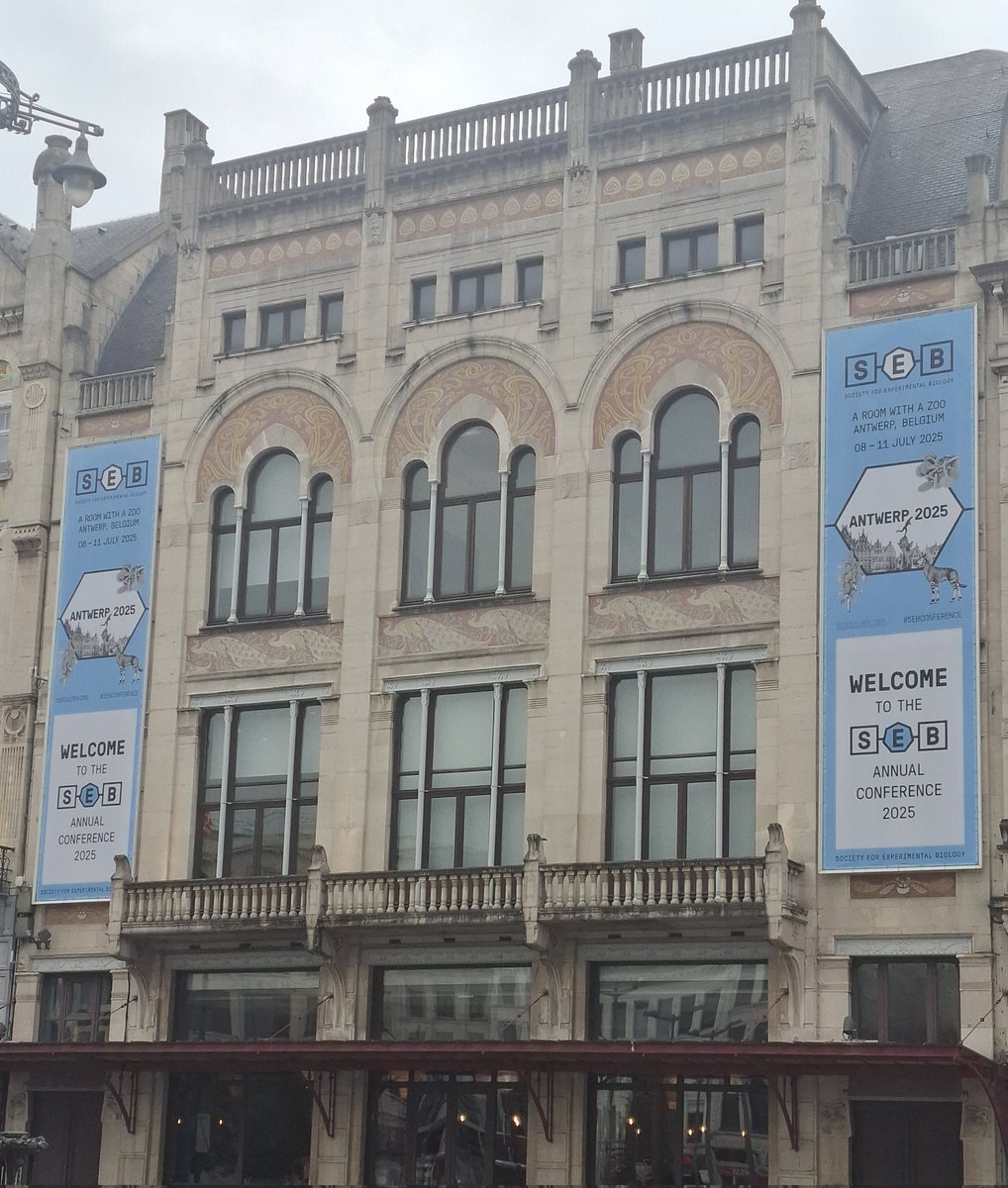 RobertCaine21's tweet photo. Day 1 of SEB 2025 in Antwerp. What a great venue 🏛🦁!  It was real pleasure to be part of the P3 PEPG session looking at plant #photosynthesis this morning alongside speakers including @OulaGhannoum.  Thanks for organising such a great session @Liana_Ace and @SilvereVialet 🙌 https://t.co/E79oX1NNz6