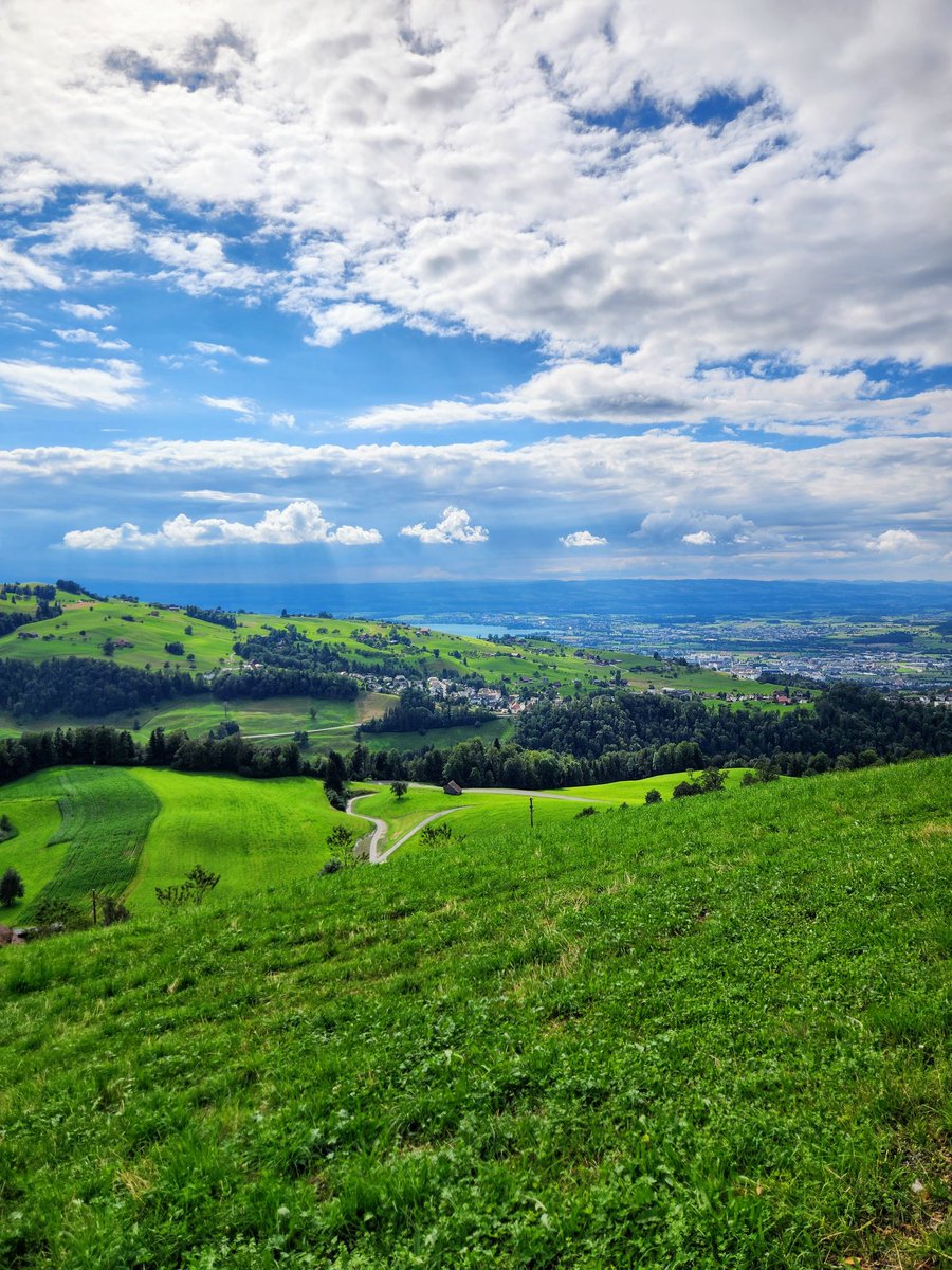 HikingSchweiz's tweet image. A walk among the farms and fields in the hills above Zug, Switzerland 🇨🇭